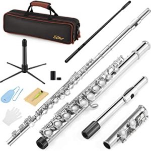 Student Beginner Flute - Set